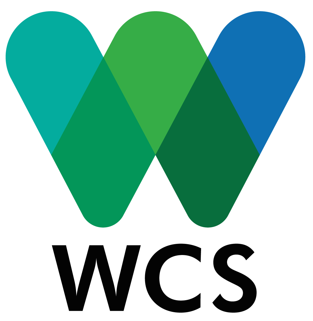 W C S