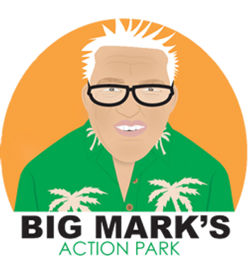Bigmarklogo